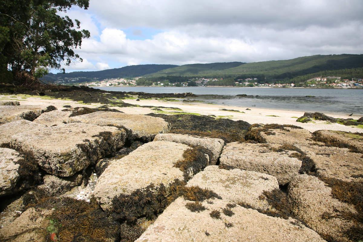 Oyster Rafts