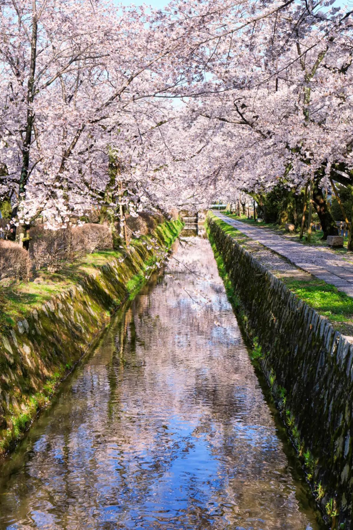 Philosopher's Path, Kyoto