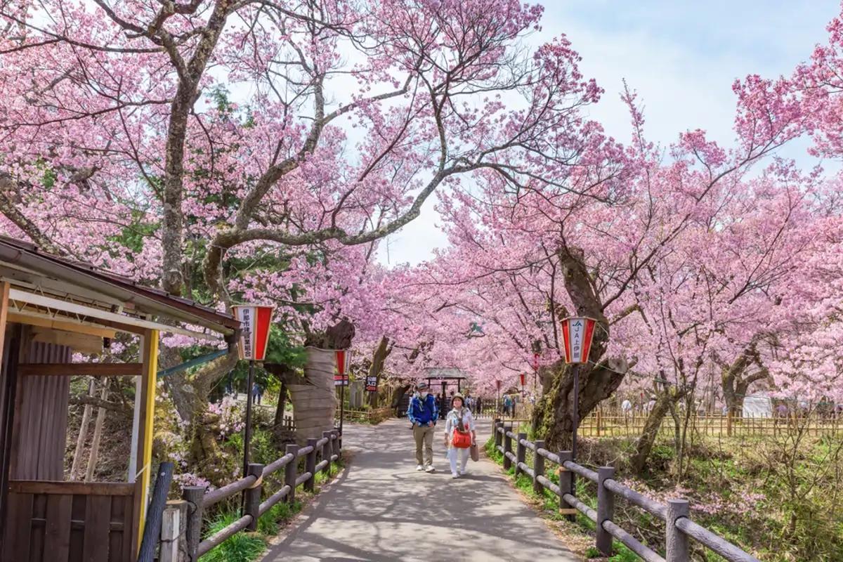 Takato Castle Park in Nagano Prefecture