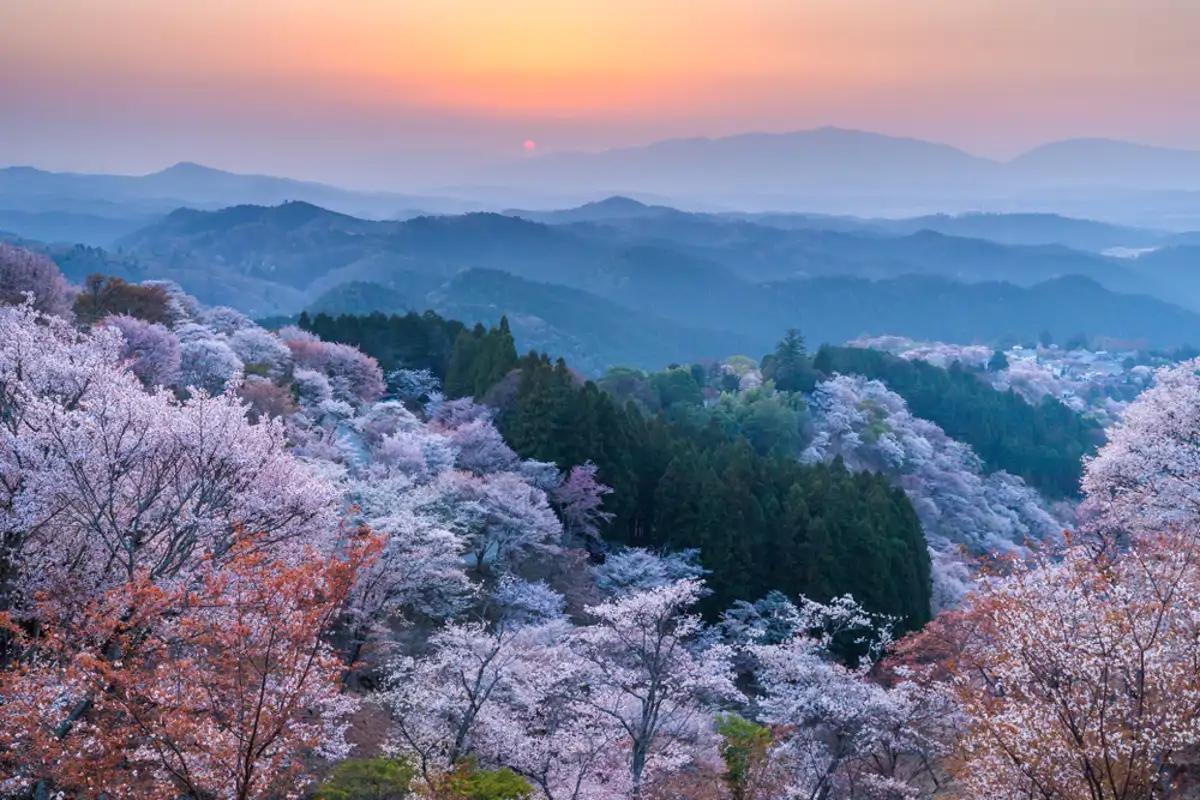 Mount Yoshino, Nara