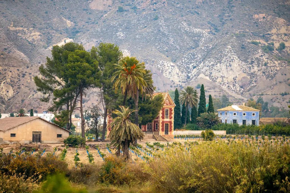 Valle de Ricote